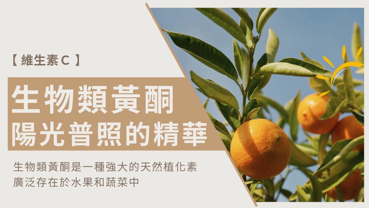 柑橘生物類黃酮-陽光普照的健康饗宴