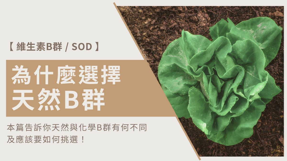 為什麼選擇天然B群