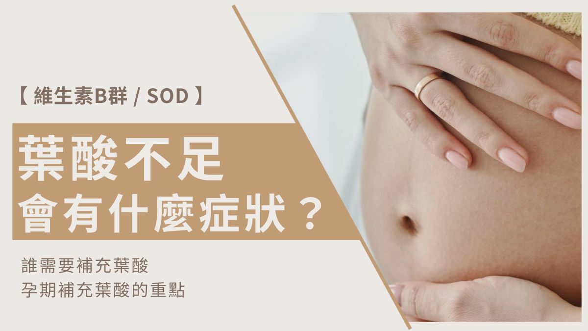 孕期補充葉酸的重點