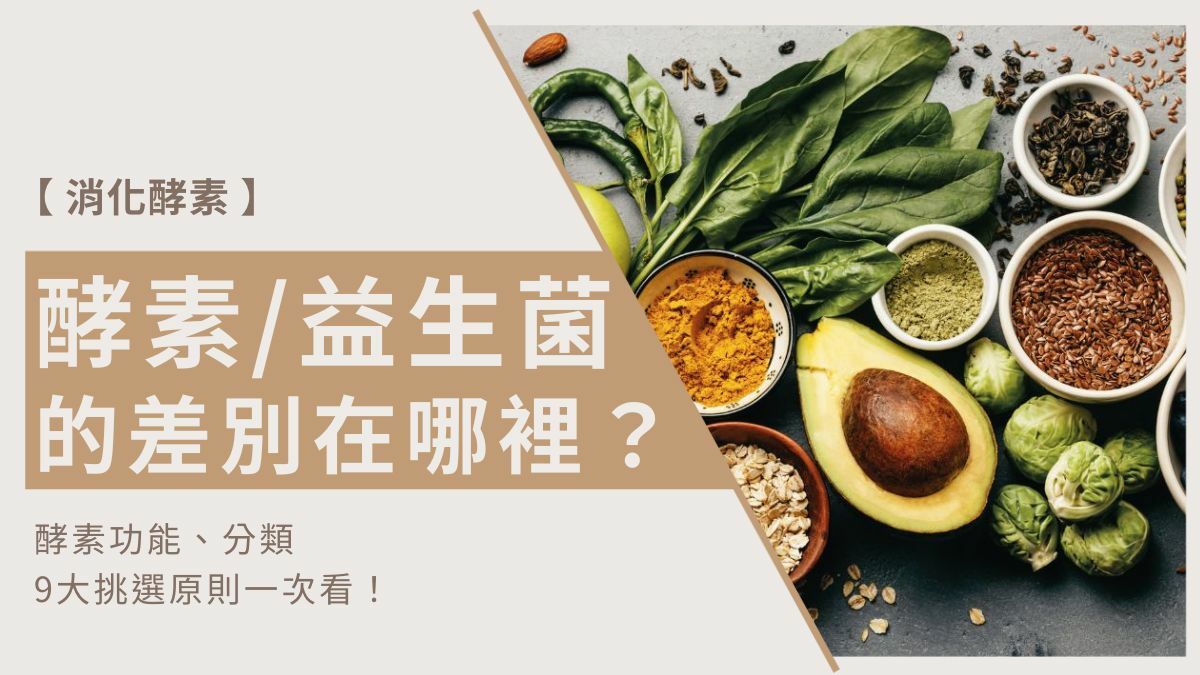 酵素跟益生菌的差別在哪