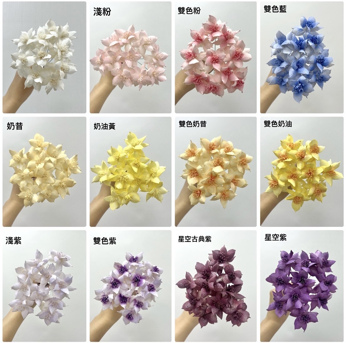 泰國索拉 扶桑花 4CM <十支一把> (高品質)