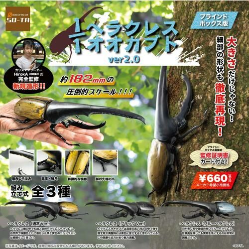 SOTA 代理版 盒玩 1/1 赫克力士長戟大兜蟲 ver2.0 隨機出貨