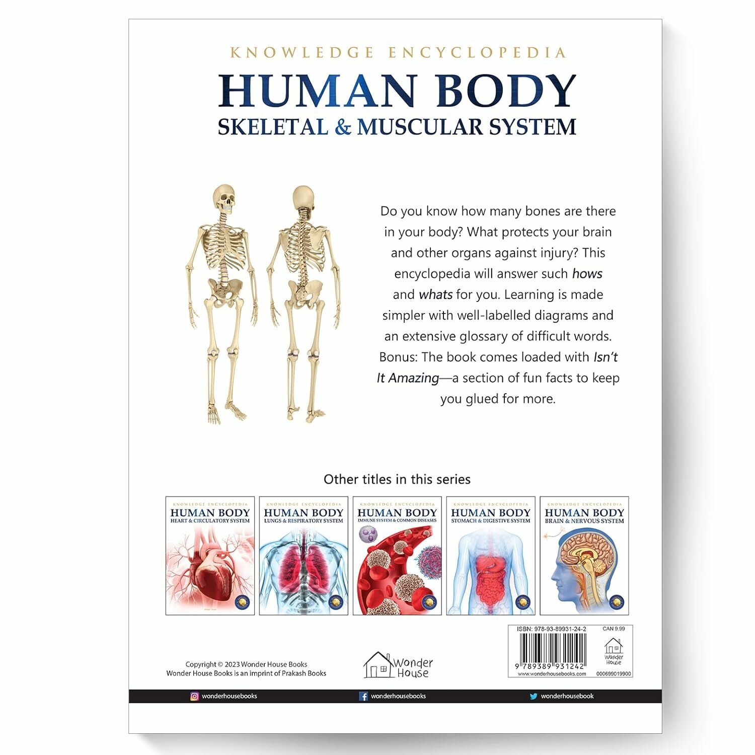 Human Body: Skeletal And Muscular System (Knowledge Encyclopedia For Children)