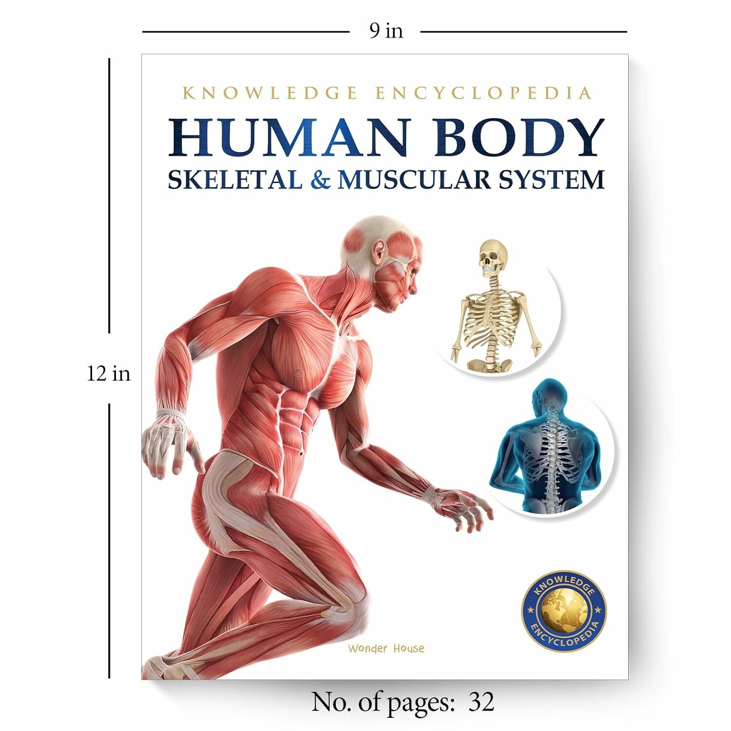 Human Body: Skeletal And Muscular System (Knowledge Encyclopedia For Children)