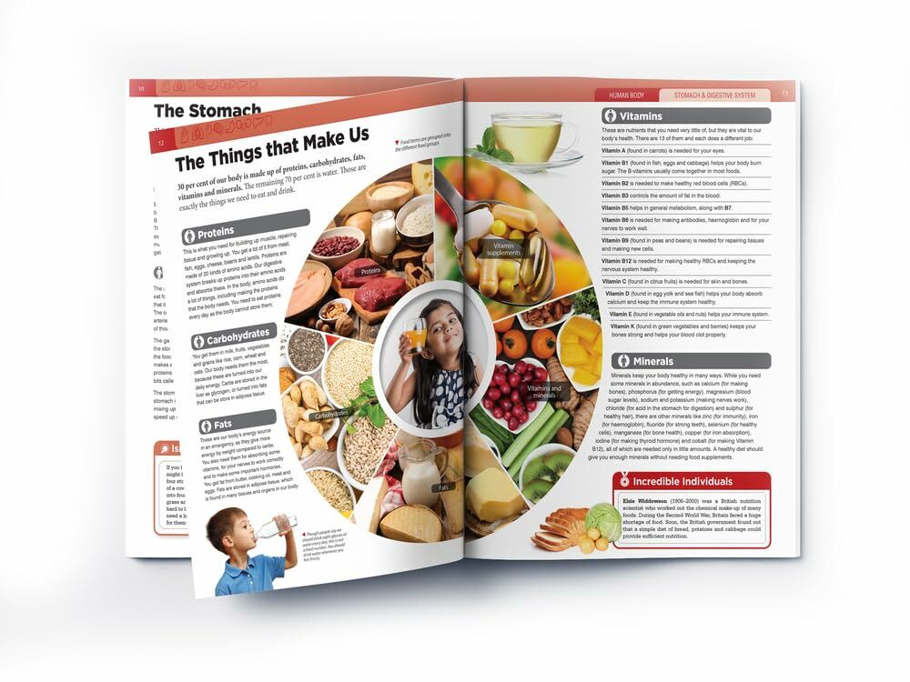 Human Body: Stomach And Digestive System (Knowledge Encyclopedia For Children)