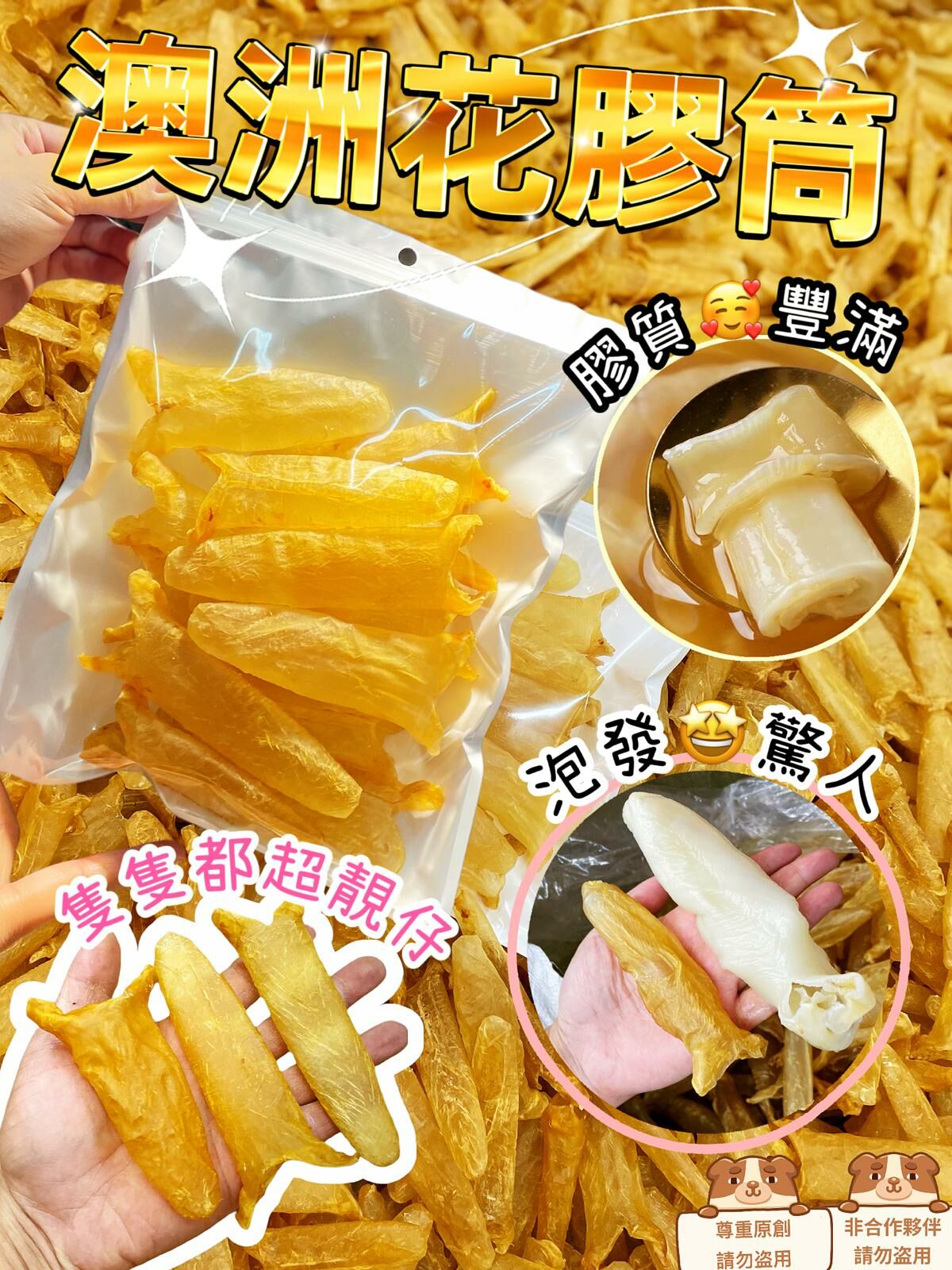 澳洲金龍花膠筒 (75g/約12-18隻) #DS938