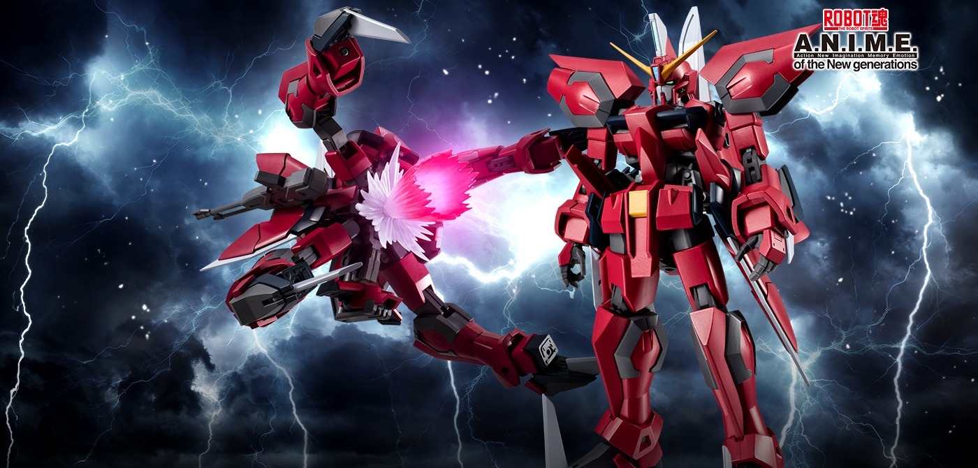 Tamashii Nation [ROBOT魂] <SIDE MS> GAT-X303 神盾高達 AEGIS GUNDAM ver. A.N.I.M.E.