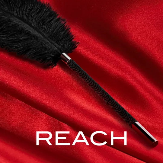 Blush Novelties - Noir: 挑逗羽毛棒