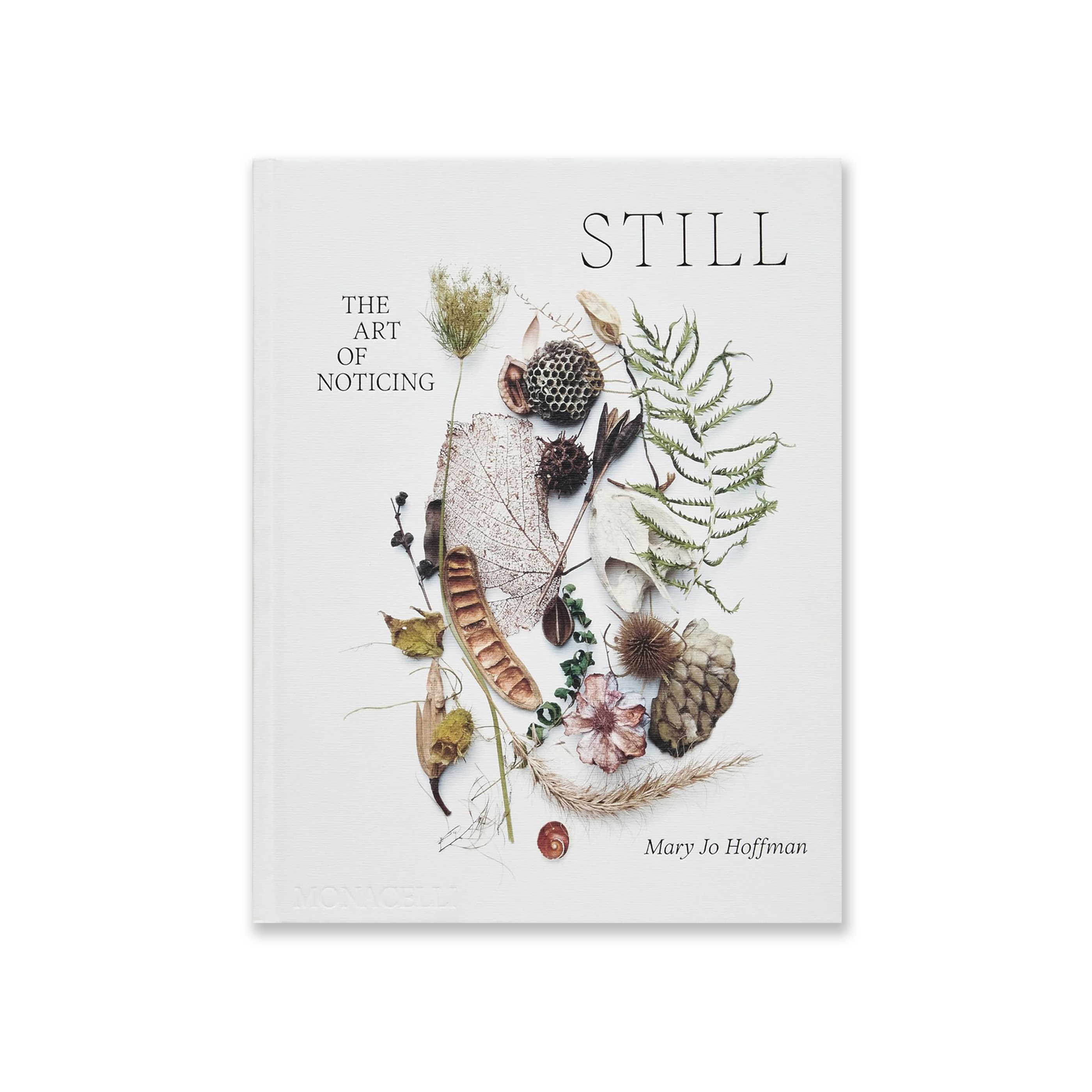 STILL: The Art of Noticing