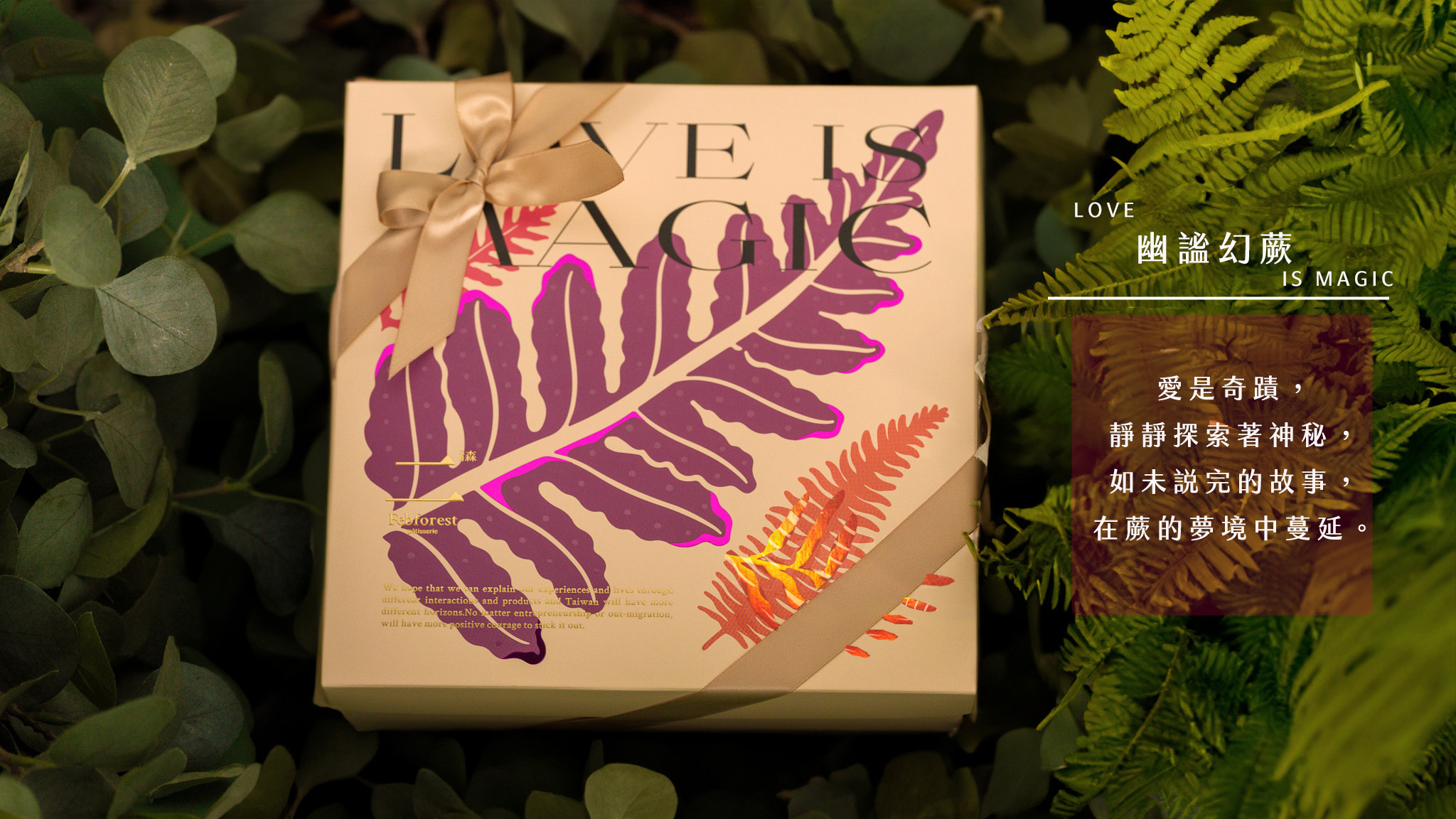 2024 喜餅禮盒幻蕨