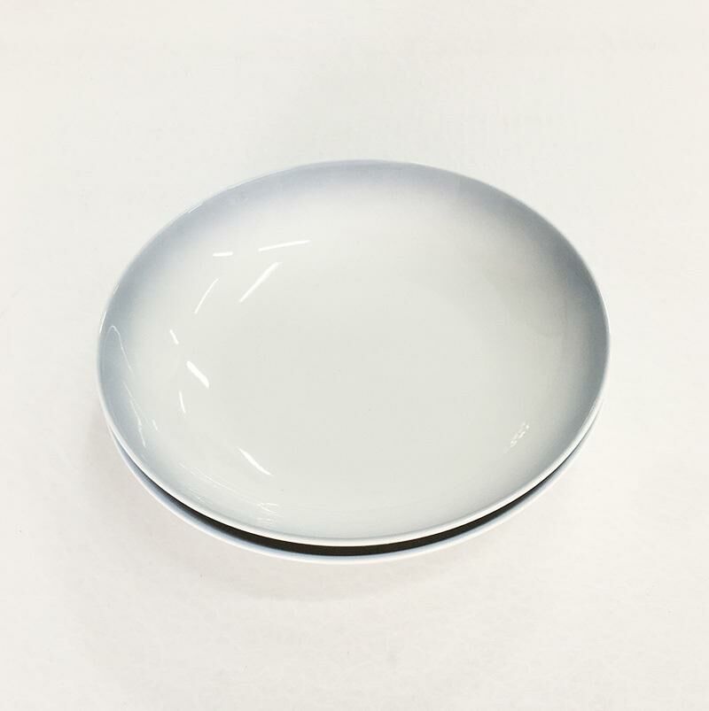 【2 pieces】Ceramic plate, home plate, ceramic plate, ceramic tableware (disc width about 20.5cm)