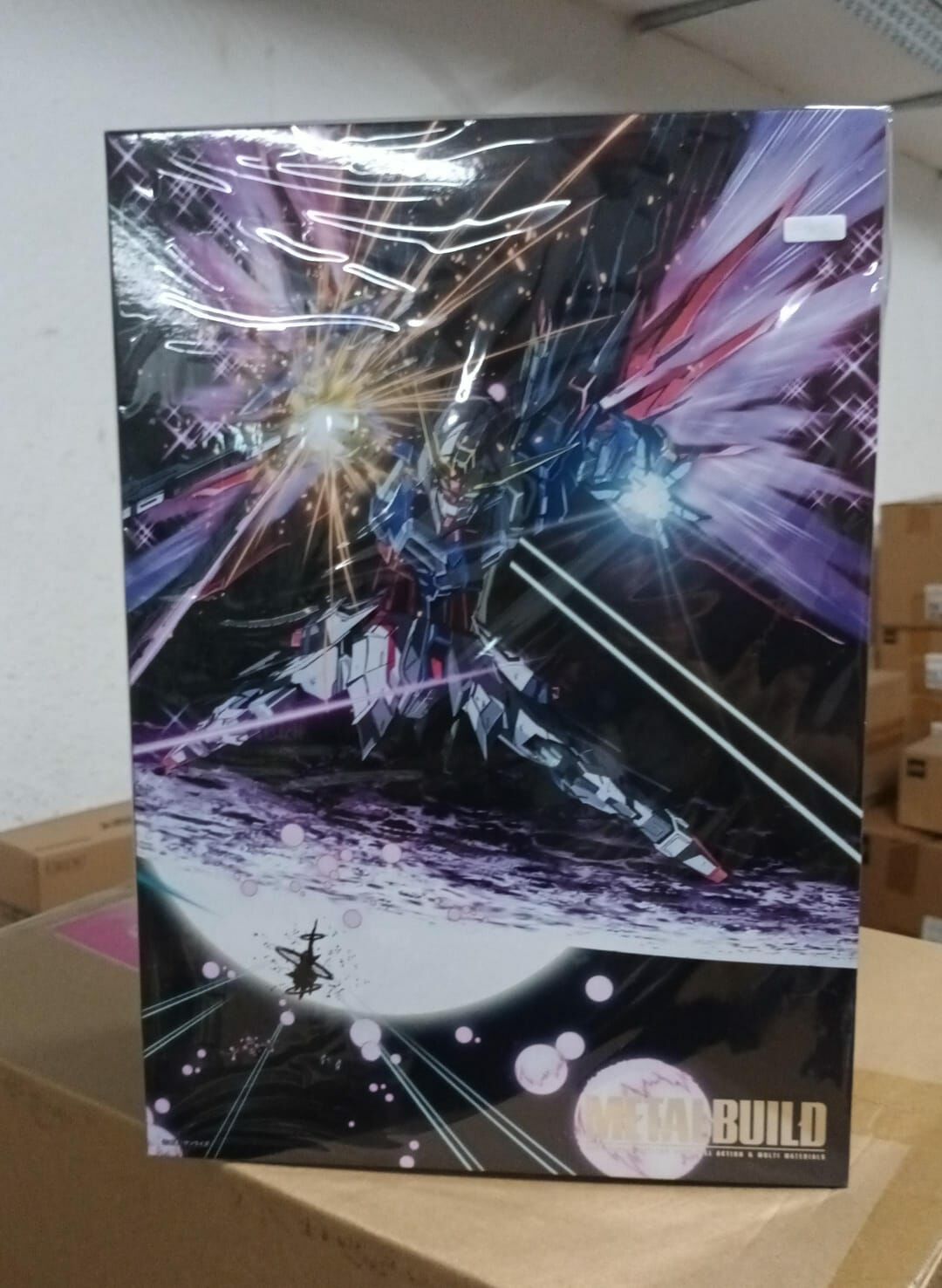 MB Destiny 命運高達連光翼