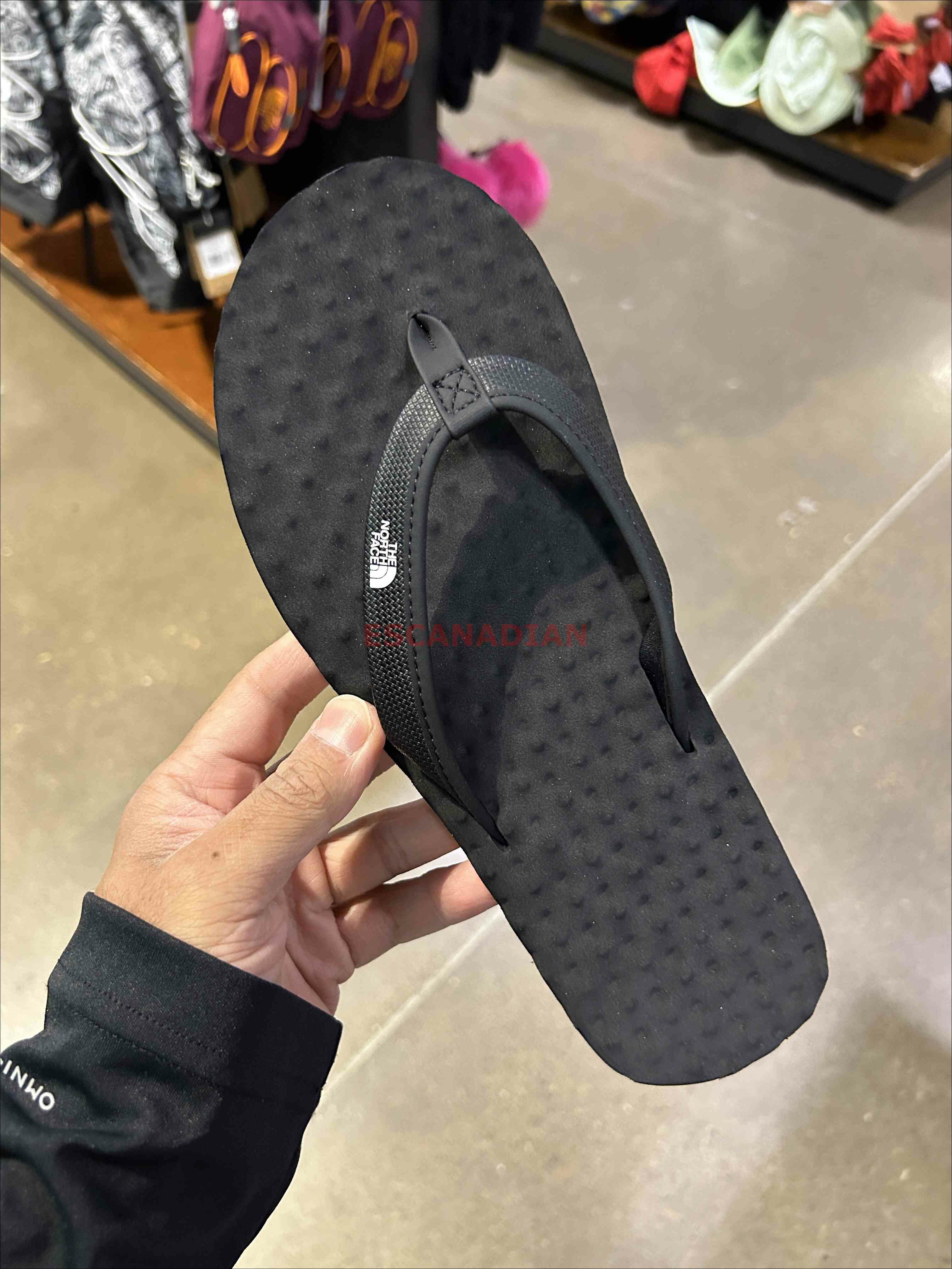 THE NORTH FACE 女大人 BaseCamp 夾腳拖