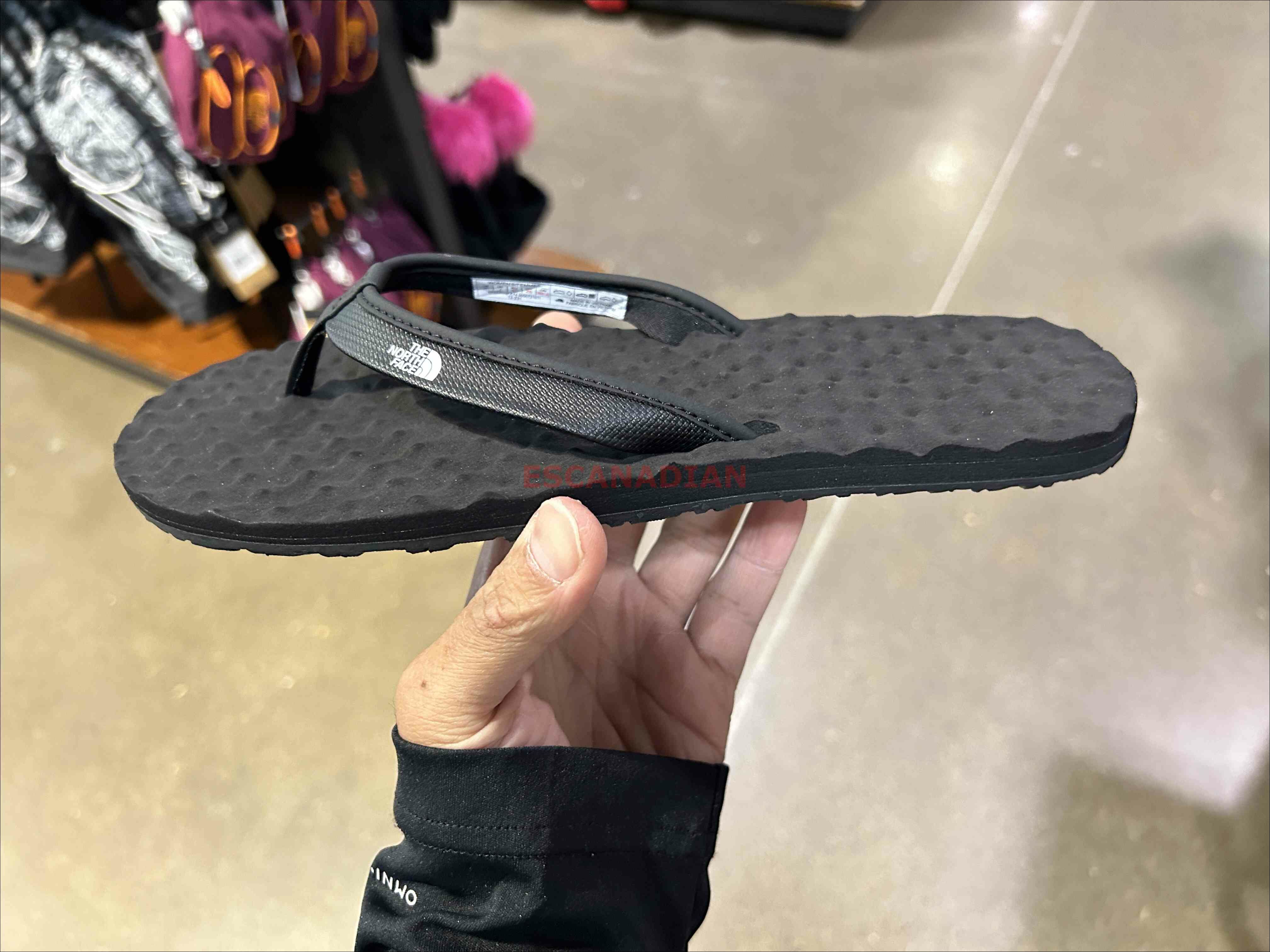 THE NORTH FACE 女大人 BaseCamp 夾腳拖