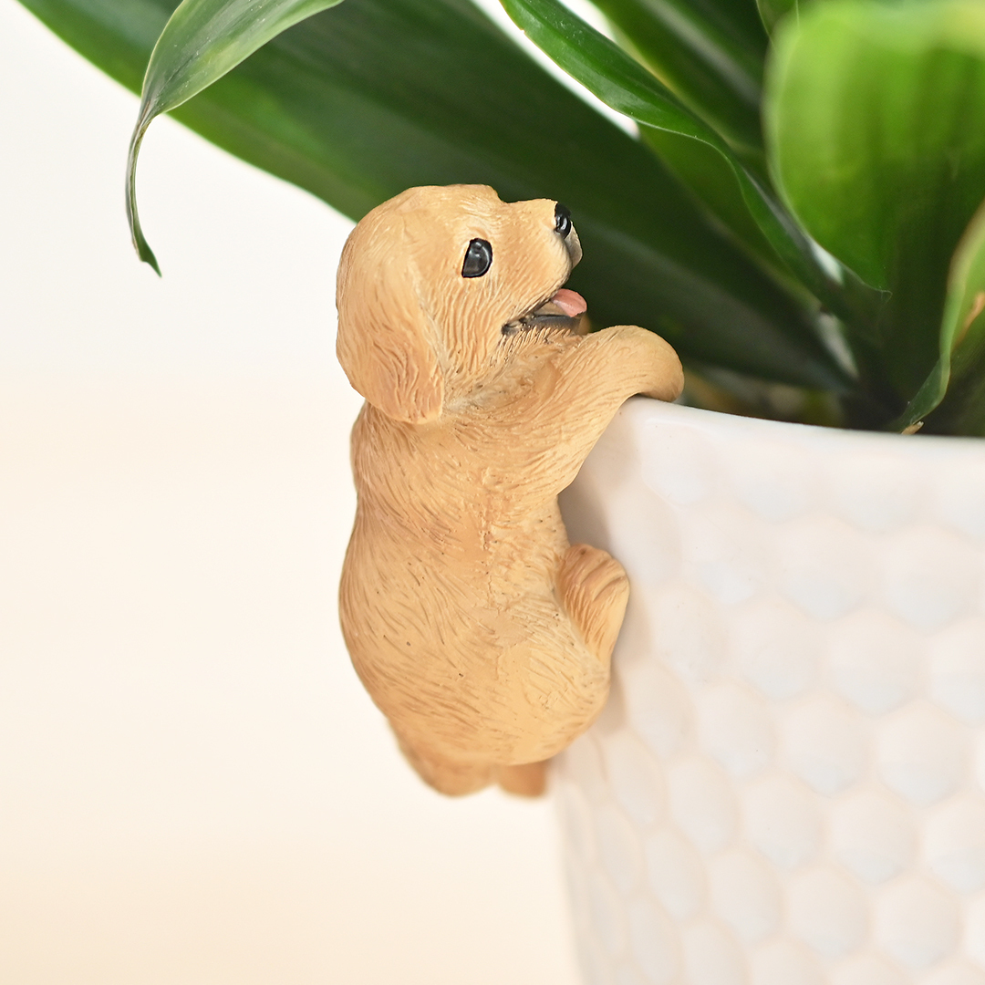 擺飾品/哈士奇、黃金獵犬