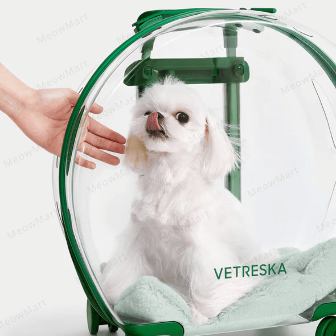 Vetreska 寵物泡泡拉桿箱