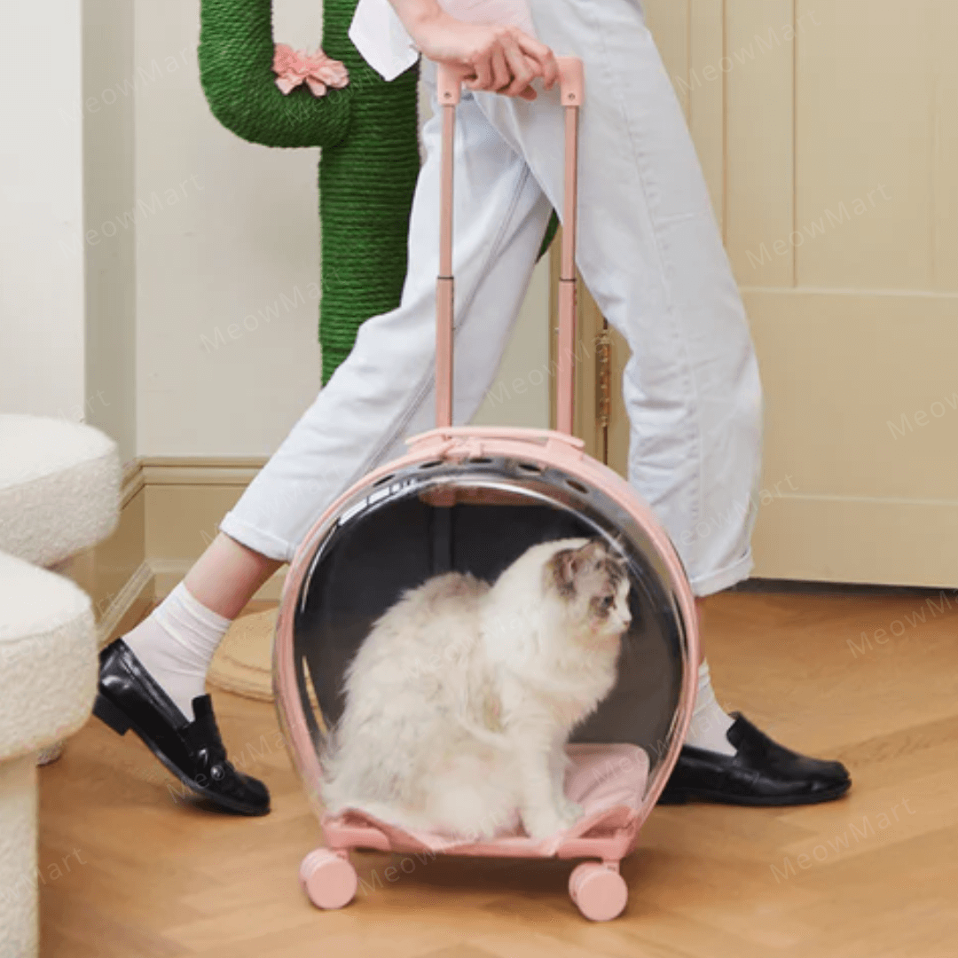 Vetreska 寵物泡泡拉桿箱