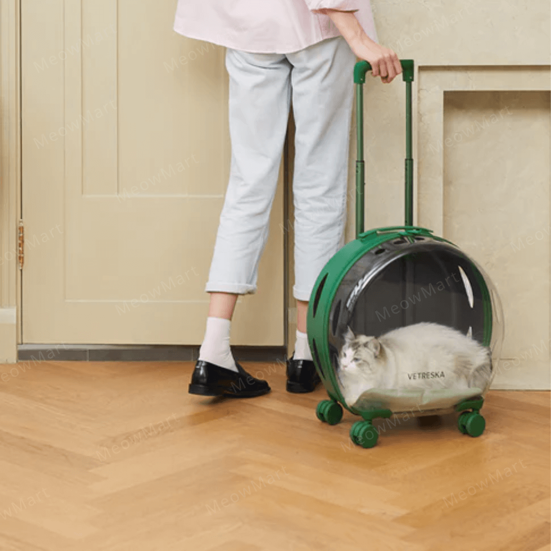 Vetreska 寵物泡泡拉桿箱