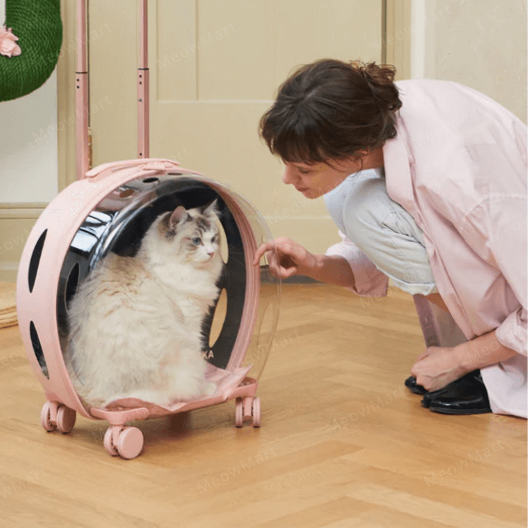 Vetreska 寵物泡泡拉桿箱