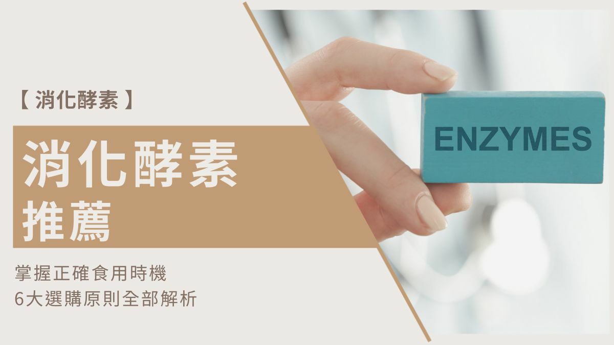 消化酵素推薦