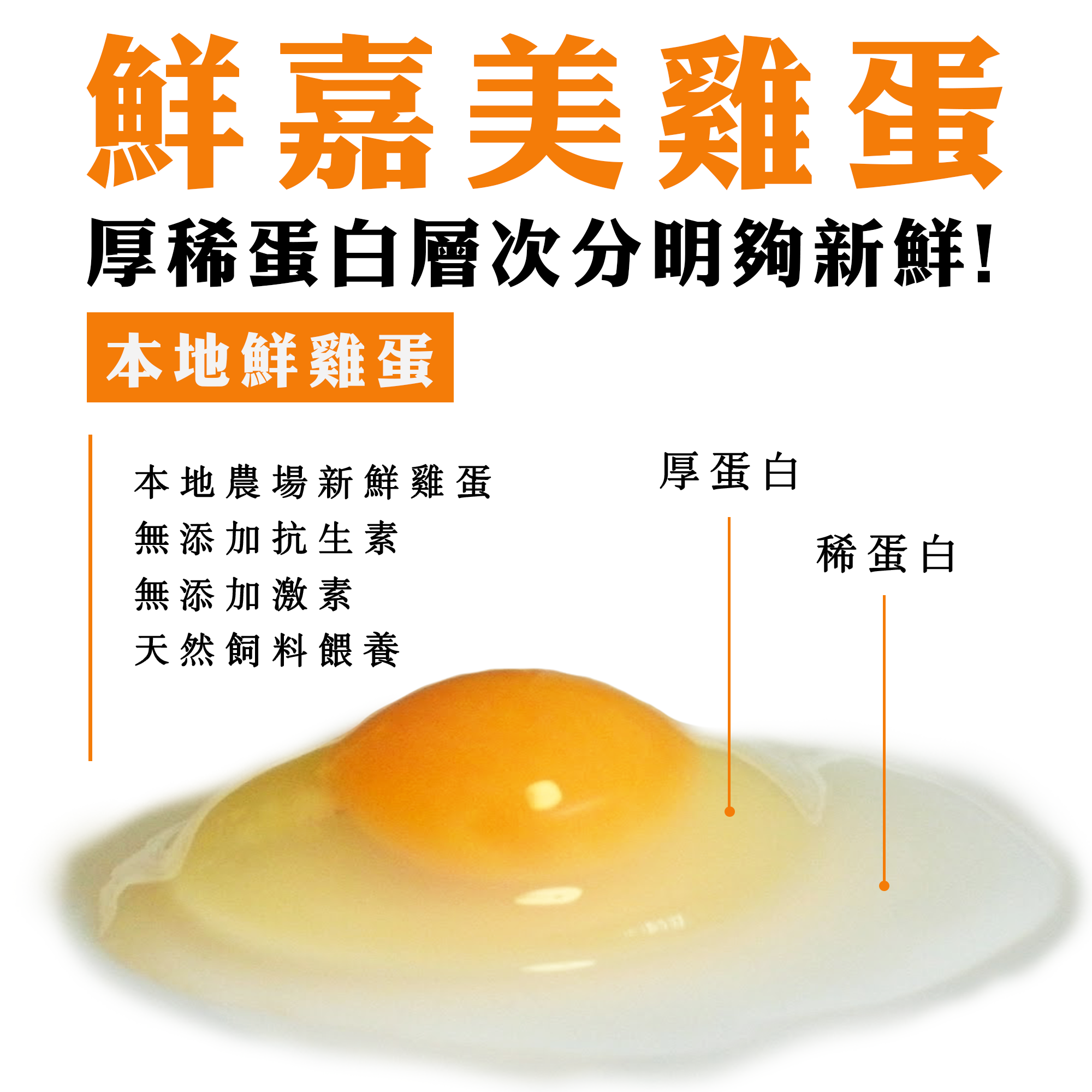 嘉美雞蛋 (6隻/盒)