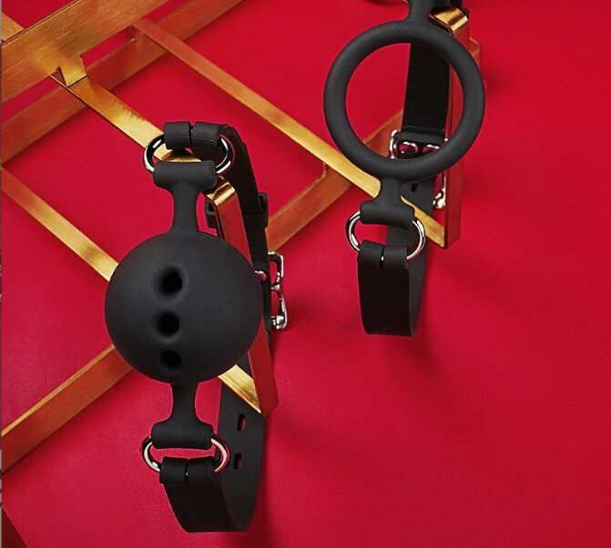 Roomfun - 調教口銬