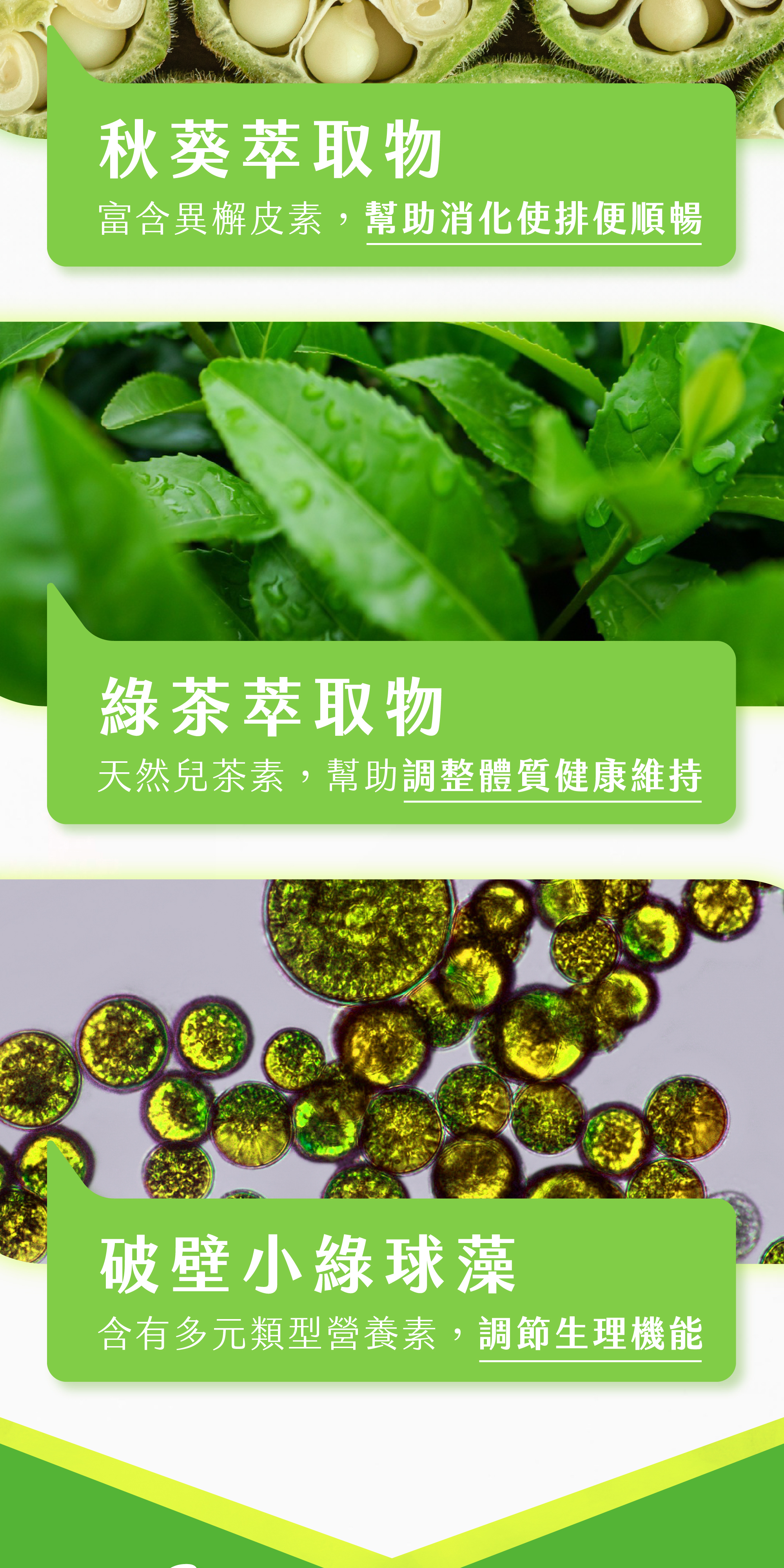 4重黃金甦暢配方-綠色植物精華|秋葵萃取物富含異檞皮素,幫助消化使排便順暢;綠茶萃取物天然兒茶素,調整體質健康維持;破壁小綠球藻,調節生理機能
