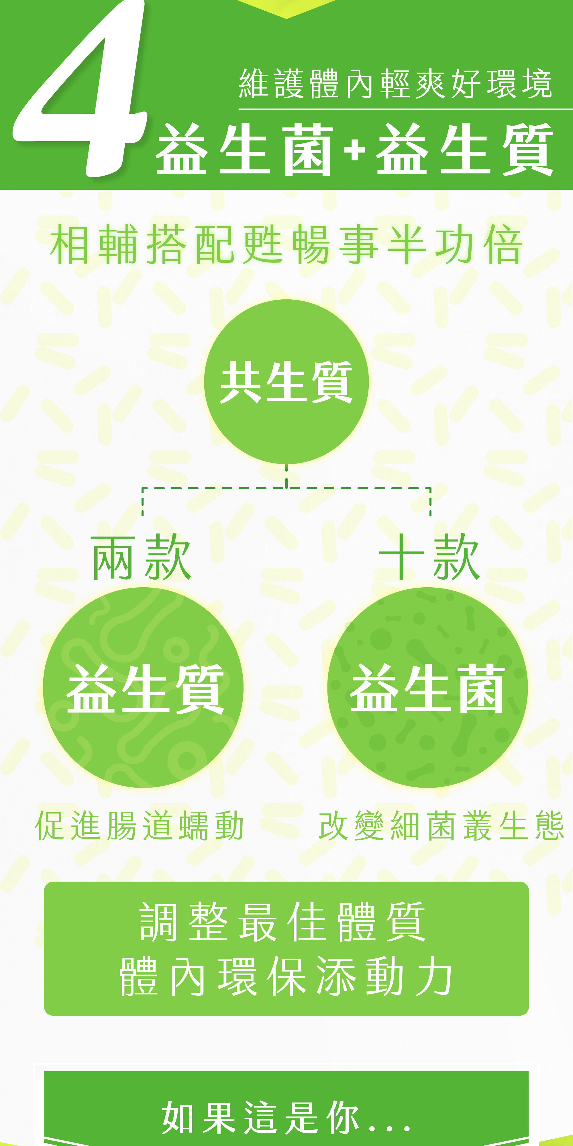 4重黃金甦暢配方-益生菌加益生質|兩款益生質加十款益生菌,相輔搭配促進腸胃蠕動改變細菌叢生態,調整最佳體質使排便順暢