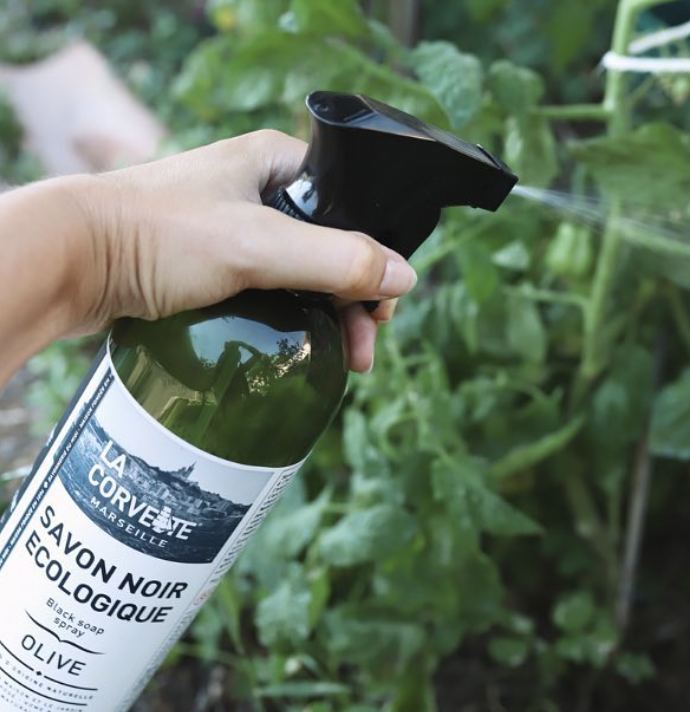 La Corvette l 馬賽家事多功能黑皂噴霧750ml