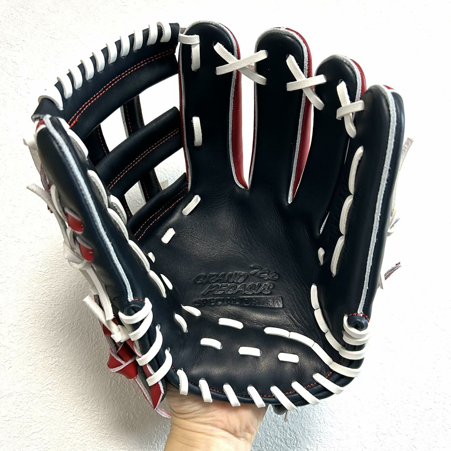 【照片分享】WorldPegasus 獨角獸 硬式内野WGK3PT(3TE)651(L)+5mm