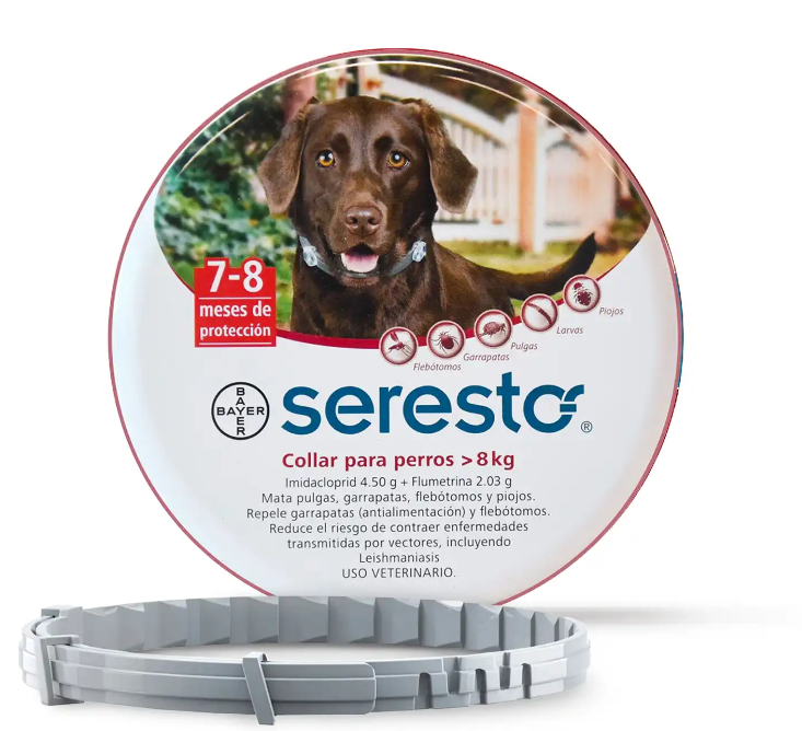 Seresto 殺蚤除牛蜱頸帶  大狗8kg以上