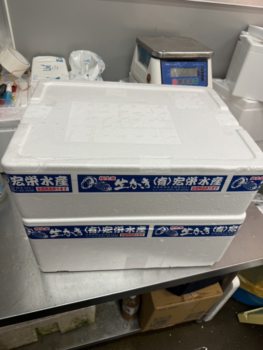 兵庫相生波紋 シングル三倍体 牡蠣