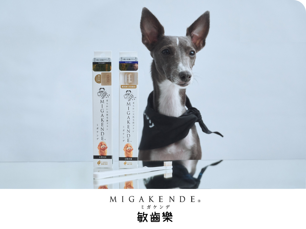 寵物軟毛牙刷推薦