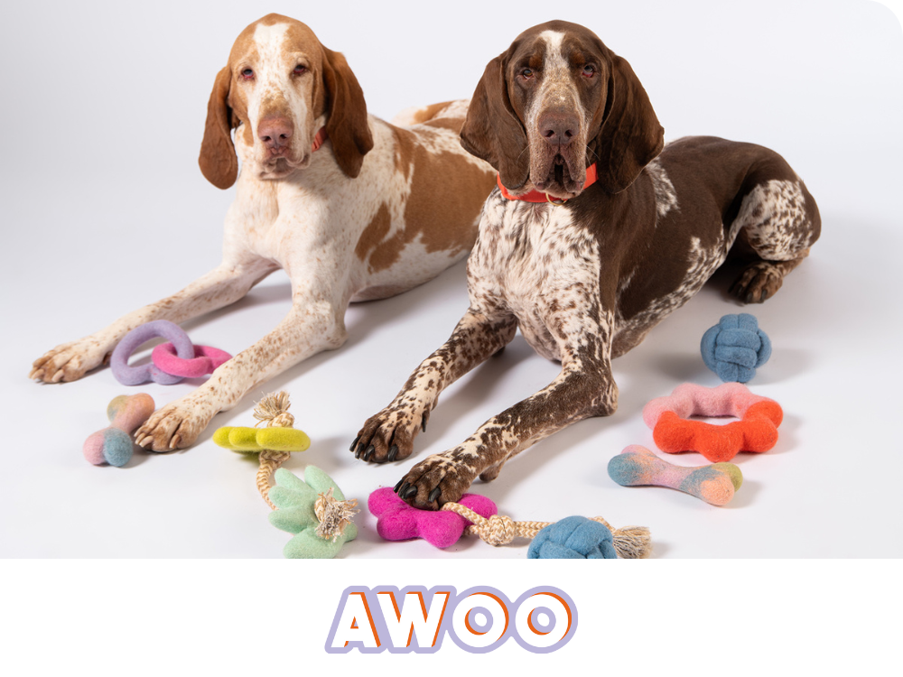 狗狗啃咬玩具,狗狗拔河玩具推薦