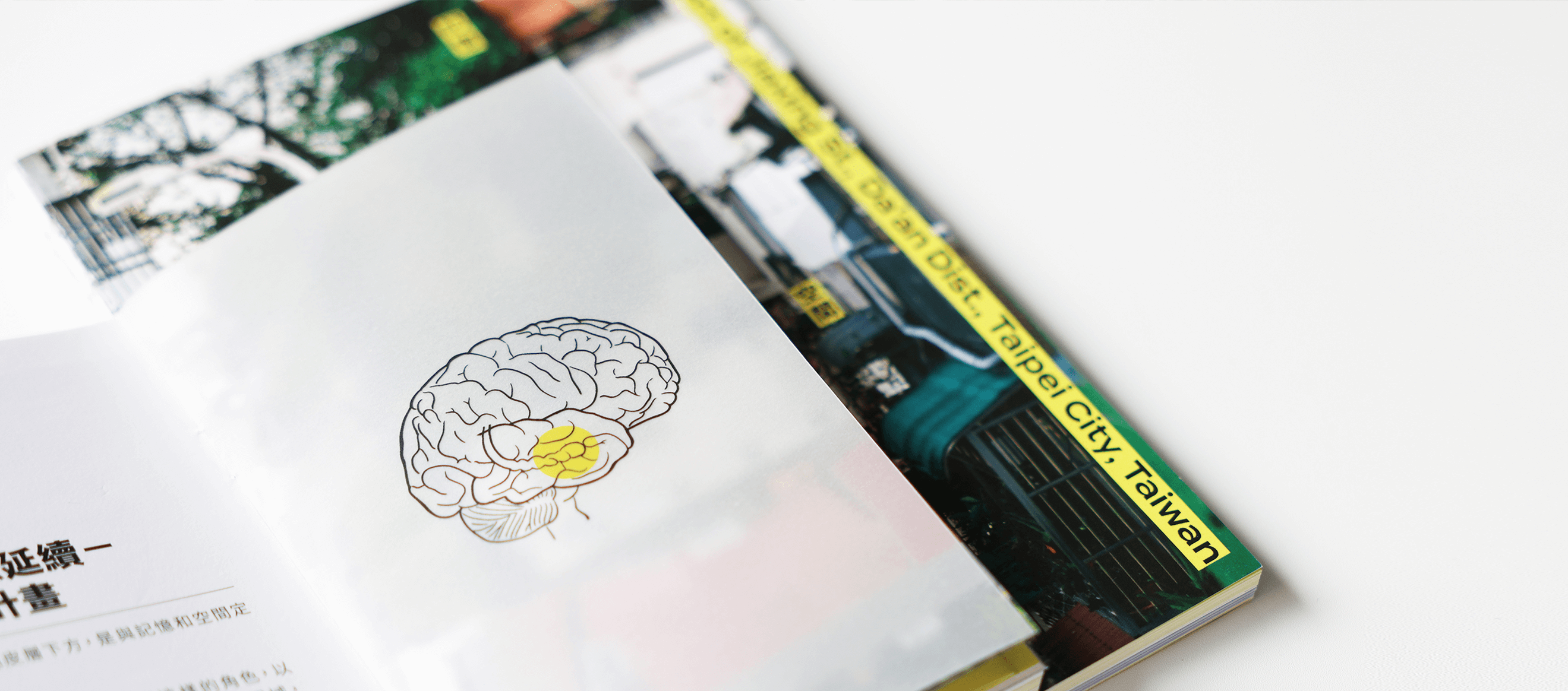 海馬迴實驗計畫