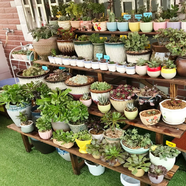 New fir solid wood furniture, outdoor flower stand, ladder stool, potted plant climbing frame [98x52x44cm] 2 layers