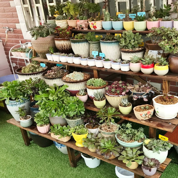 New fir solid wood furniture, outdoor flower stand, ladder stool, potted plant climbing frame [130x100x76cm] 4 layers