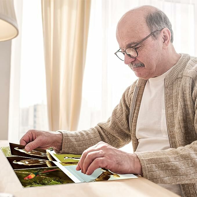 美國【KEEPING BUSY】圖咭配對分享遊戲