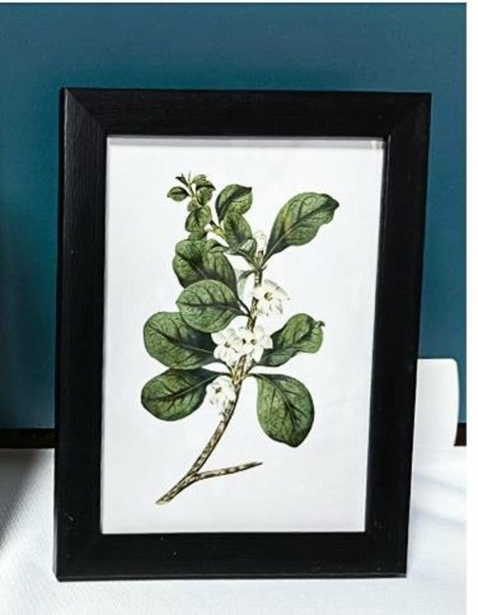 European-style new flat simple photo frame table (5-inch 3110 black)