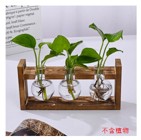 激抵創意木架水培玻璃花瓶【卡口木架+圓球三瓶】