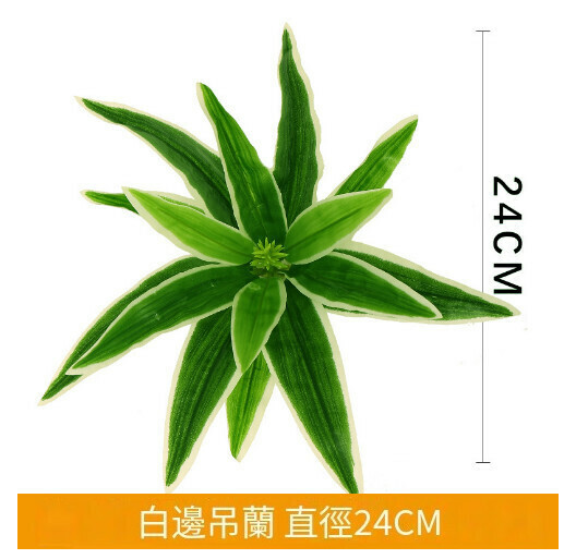 Simulated plant wall green plant wall accessories [white-edged green chlorophytum]