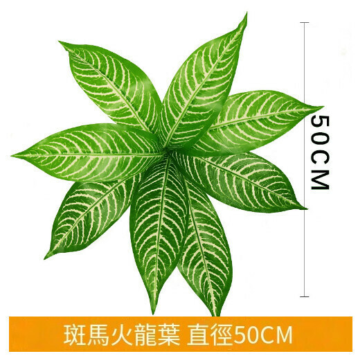 Simulated plant wall green plant wall accessories [zebra dragon leaves]