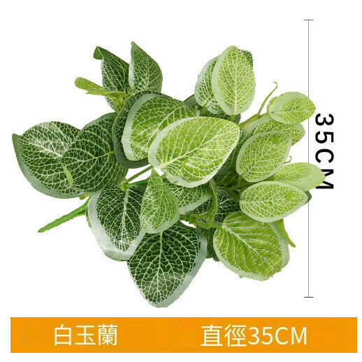 Simulated plant wall green plant wall accessories [Magnolia]