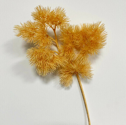 Pinus meinanensis conjoined false pine branches [champagne color]