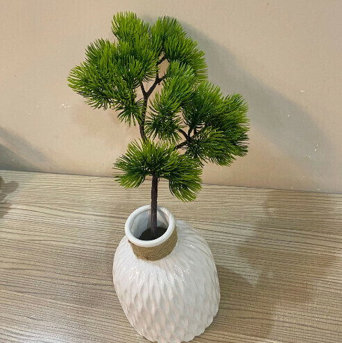 One-piece pseudo-pine branches of Pinus massoniana [dark green]