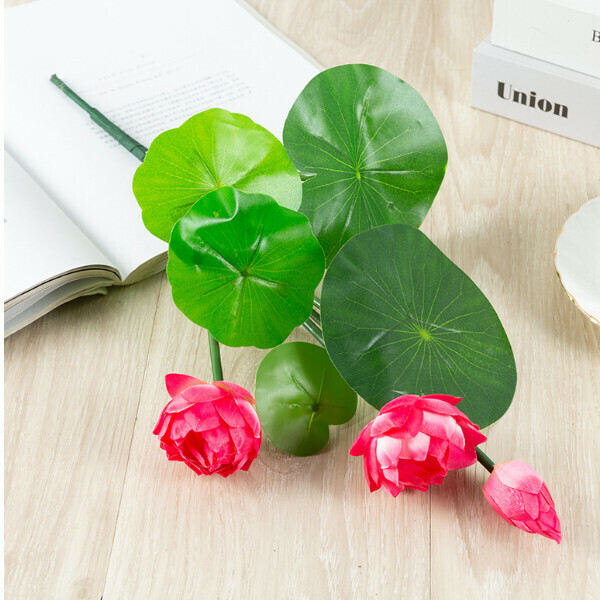 Decorative lotus [Rose Red] is placed.