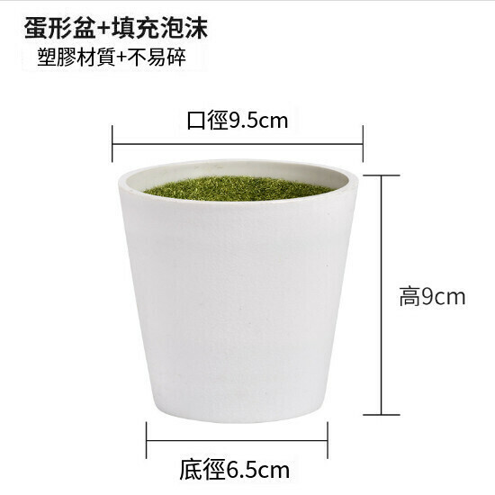 Bonsai balcony ornaments indoor decoration green potted plants (egg-shaped basin with foam filling)