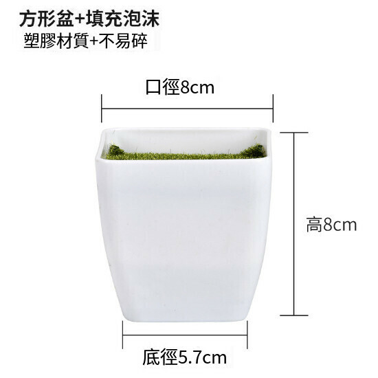 Bonsai balcony ornaments indoor decoration green potted plants (square basin with foam filling)