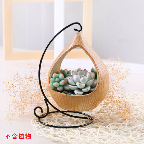European iron hook fleshy flowerpot ornaments "4027 iron drop"