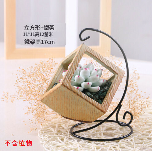 European iron hook fleshy flowerpot ornaments "4028 iron square"